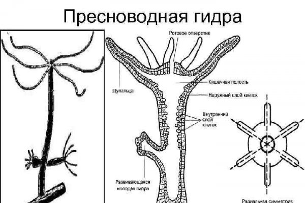 Кракен даркнет вход на сайт